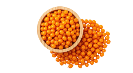 Isolated Sea Buckthorn Berries