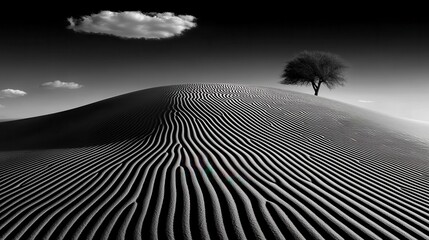 Lonely tree standing majestically on a desert dune beneath a dramatic sky with clouds, showcasing the beauty of solitude