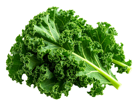 Fresh kale leaves isolated on transparent background