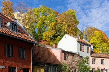  Colorful Houses in Historic Fredensborg Oslo during Autumn.