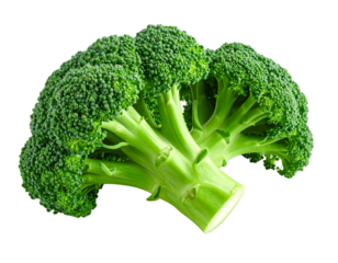 Fresh broccoli head isolated on transparent background