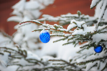 a winter fragment of a spruce decorated with a blue Christmas toy in the form of a ball with a...
