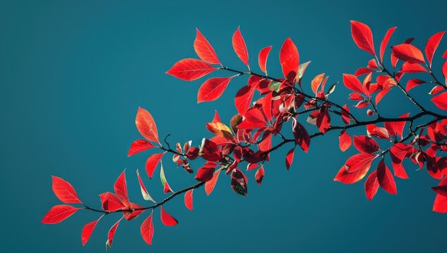 Autumn leaves branch against vibrant sky; nature backdrop