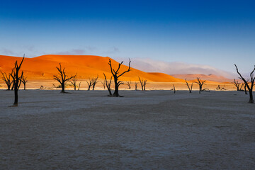 Deadvlei dune colors in the morning light