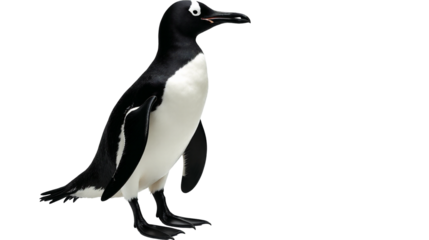 Reconstructed depiction of the great auk showcasing its unique features and characteristics on a transparent background