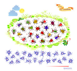 Best puzzles for kids. Can you find the shadow of each beetle? Write the numbers in circles. Educational game for children. Task for attentiveness. IQ test. Hand drawn vector illustration.