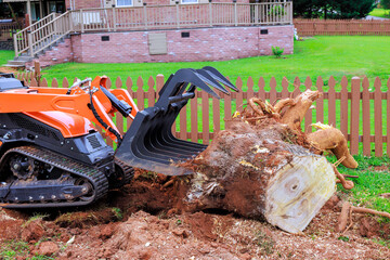 Heavy machinery removes tree stump in residential backyard during lifts log