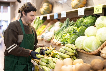 Adult man seller in apron puts bananas on display in vegetable shop