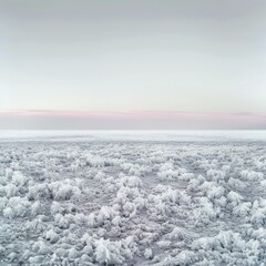 Obraz premium Frozen landscape, ice crystals, sunrise, flat land. Nature photo