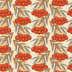 Cozy rowan berries autumn vector seamless pattern, hand-drawn warm seasonal texture
