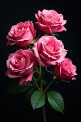 Fototapeta premium A lush bouquet of pink roses, velvety petals against a deep black backdrop , delicate, contrast, anniversary