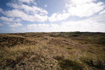 Dünenlandschaft an der Nordsee