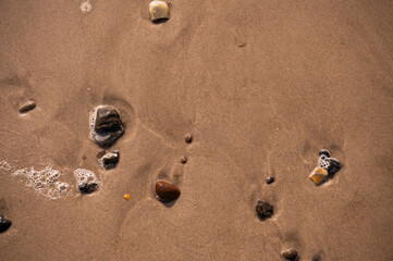 Sandstrand mit Wasser und Muscheln