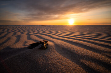 Sonnenuntergang an der Nordsee mit D&uuml;nenlandschaft