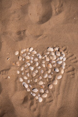 Sandstrand mit Wasser und Muscheln