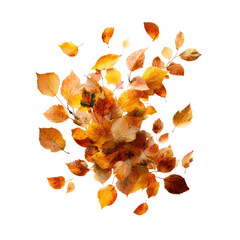 Fototapeta premium A vibrant cluster of autumn leaves in warm oranges and yellows, artistically arranged