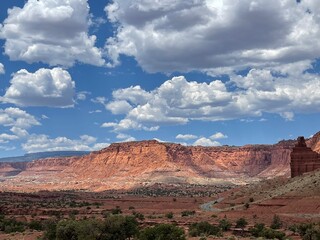 Fototapeta premium Capital Reef National Park Scenery