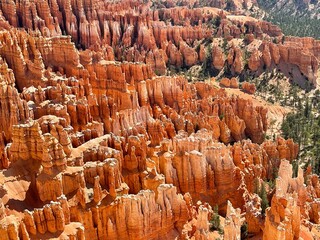Bryce Canyon National Park Scenery