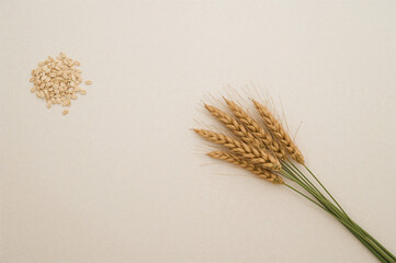 Bundle of golden wheat stalks and scattered rolled oats on textured beige surface with warm earthy tones in flat lay