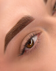 Obraz premium Permanent makeup enhancing the thick eyebrows of a beautiful woman in a stylish beauty salon, showcasing expert application by a professional beautician 
