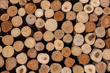 Beautifully stacked and accommodated cut natural pile of wood pattern