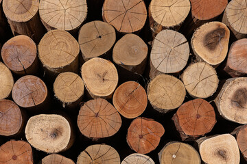 Beautifully stacked and accommodated cut wood pattern natural 