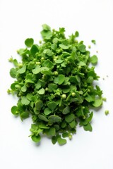 Obraz premium Close-up of finely chopped dried oregano, pure white background , white background, natural, culinary