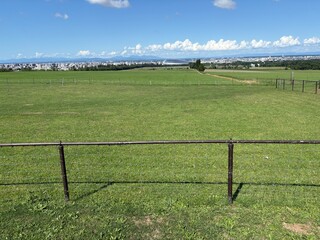 さっぽろ羊ヶ丘展望台の景色