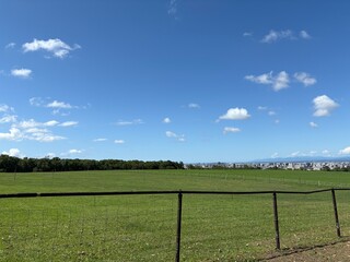 さっぽろ羊ヶ丘展望台の景色