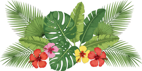 tropical floral vector
