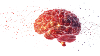 Digital Illustration of Glowing Red Brain and Vibrant Energy Exploring Complexity and Intricacy of Human Brain Activity in Futuristic and Dynamic Composition on white background