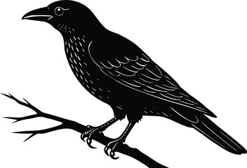 Black silhouette of a crow perched on a branch