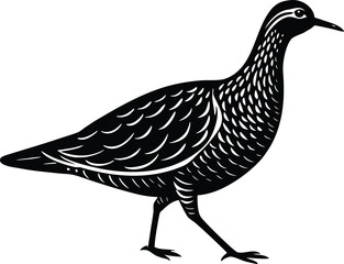 Black silhouette of a walking bird with detailed feathers