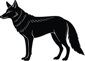 Black silhouette of a standing coyote with detailed fur