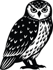Stylized black and white owl illustration