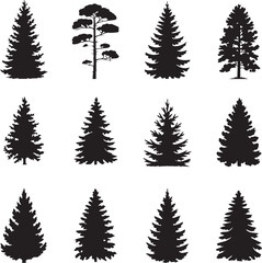 Obraz premium Forest Variety: A Group of Evergreen Tree Illustrations