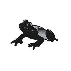 Sehuencas Water Frog