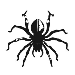 Tarantula Skeleton Illustration