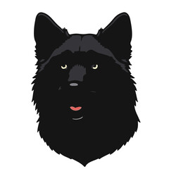 Swedish Vallhund Illustration