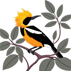 Summer Tanager