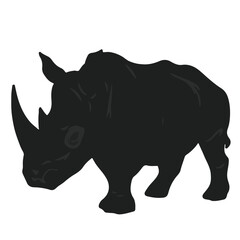 Sumatran Rhino Image