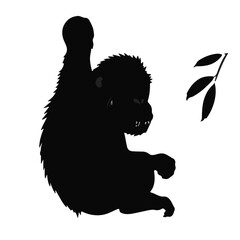 Sumatran Orangutan Portrait