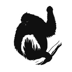 Close-Up Sumatran Orangutan