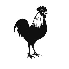 Chicken Sultan Character