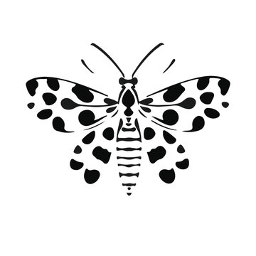 Spotted Lanternfly Photograph