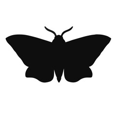 Spongy Moth Animal © Waleed