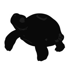 Obraz premium Spiny Hill Turtle Illustration