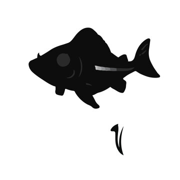 Spiny Dogfish Illustration