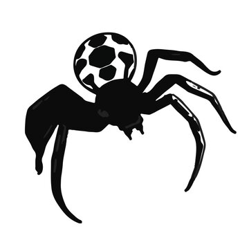 Spider Ball & Python Animal Illustration