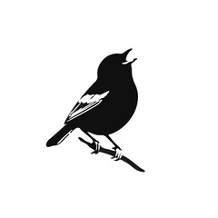 Obraz premium Sparrow Song